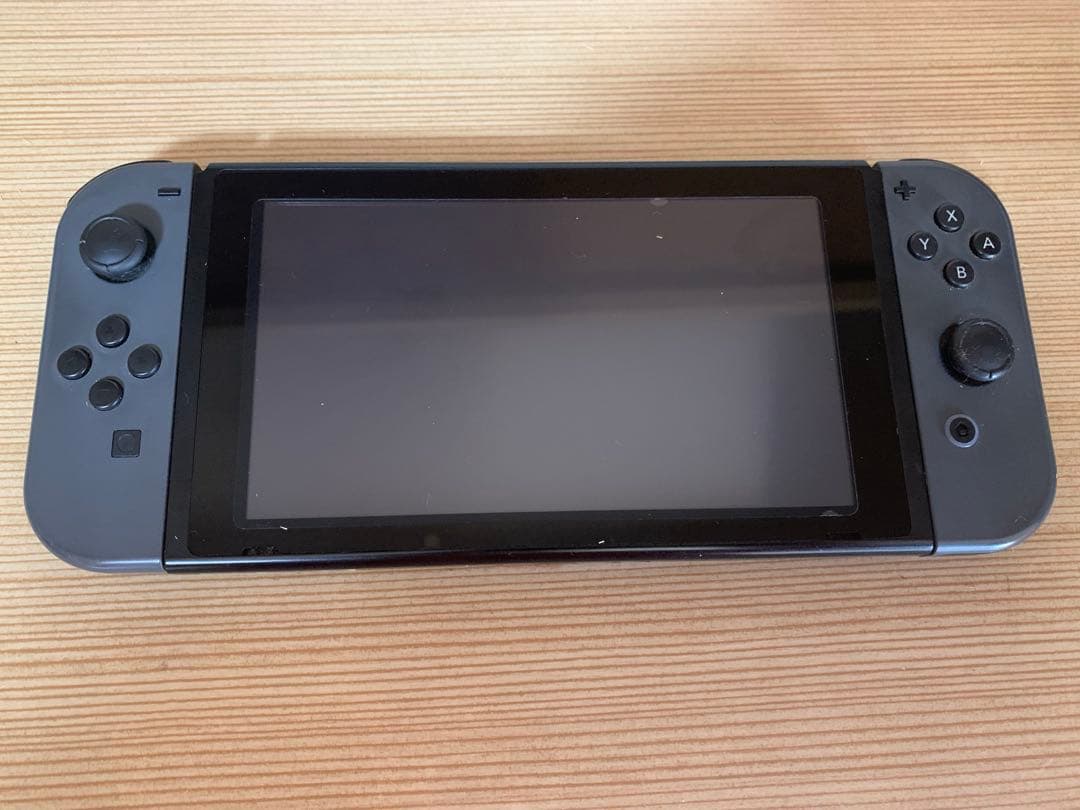 Nintendo Switch Lite グレー 本体とケース付き