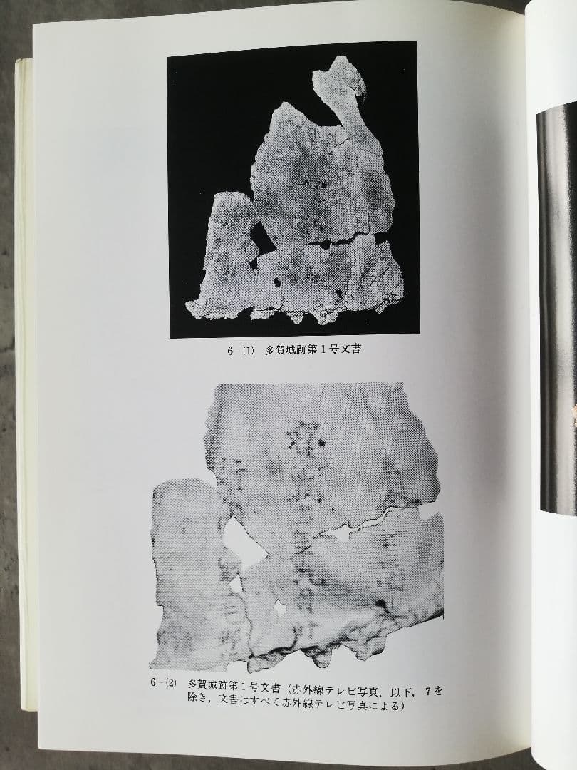 漆紙文書の研究