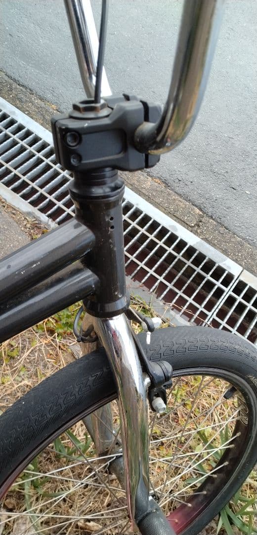 bmxerさん専用BMX マジックフルーツ