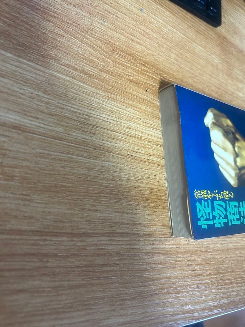 怪物商法 糸山著 石井出版