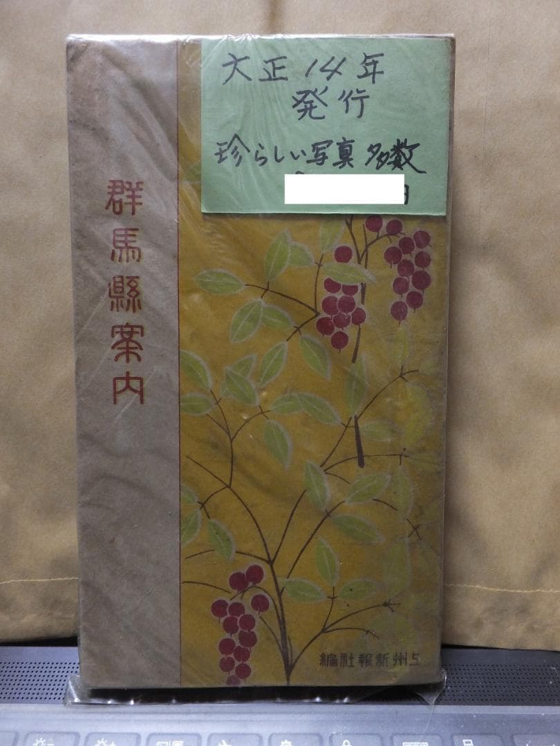 群馬県案内　　　　上州新報社　編　　　　　　大正14年発行