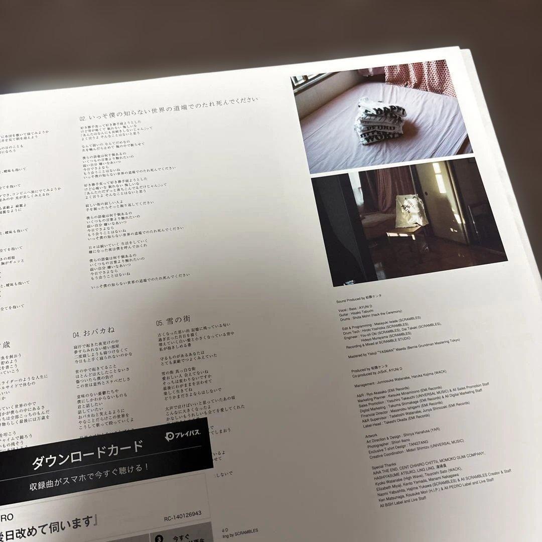 【レコード　アナログ】PEDRO 後日改めて伺います　ペドロ　BISH