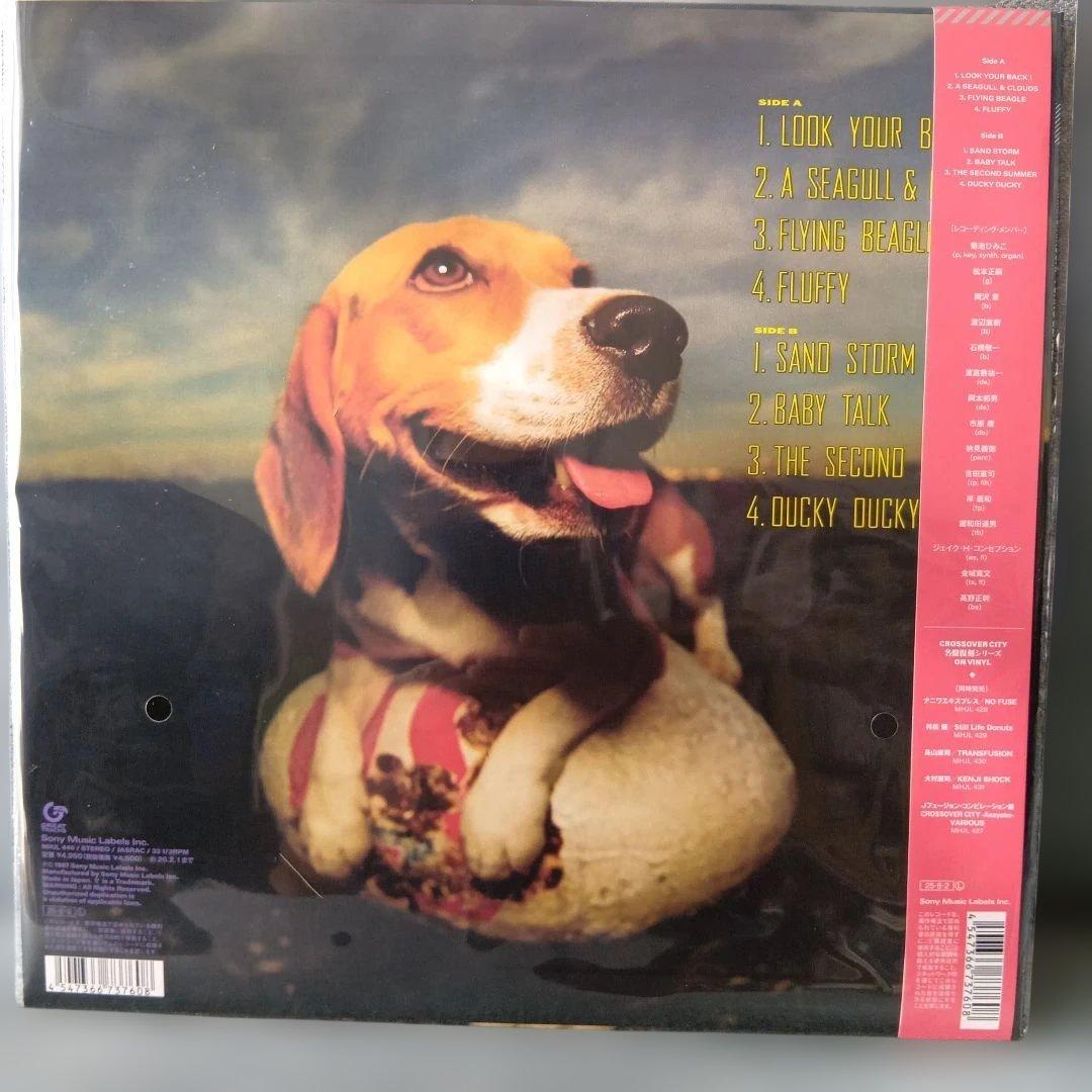 初回生産限定盤　FLYING BEAGLE 菊地ひみこ