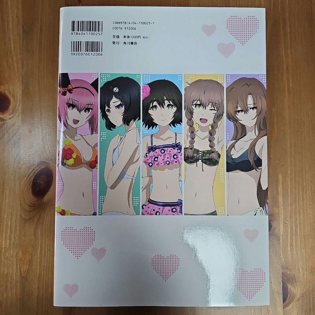 STEINS;GATE 相思相愛のトゥルーメモリーズ 絶版 初版本 極美品