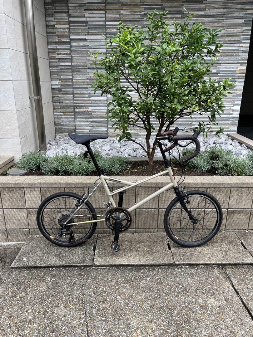BRUNO VENTURA LIMITED〈限定10台車〉