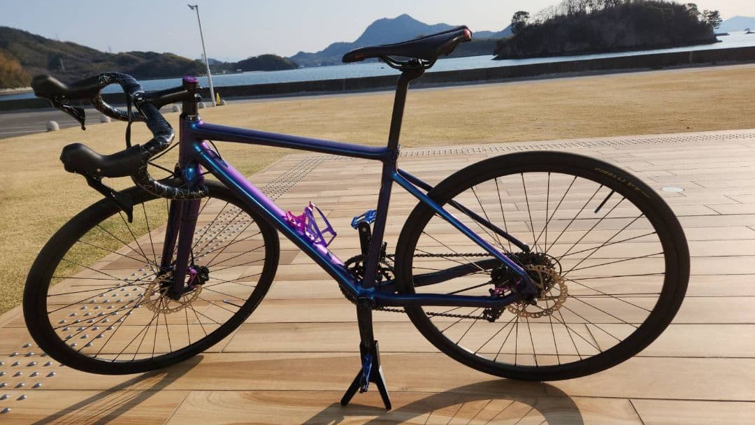 liv BRAVA SLR シクロクロス 　Giant　105　disc　油圧