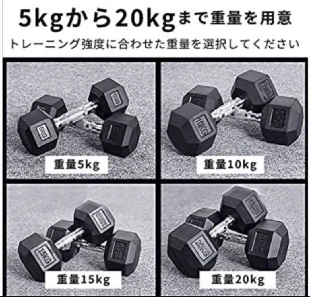 ダンベル 10kg 2個セット スタイリッシュ 六角 筋トレ
