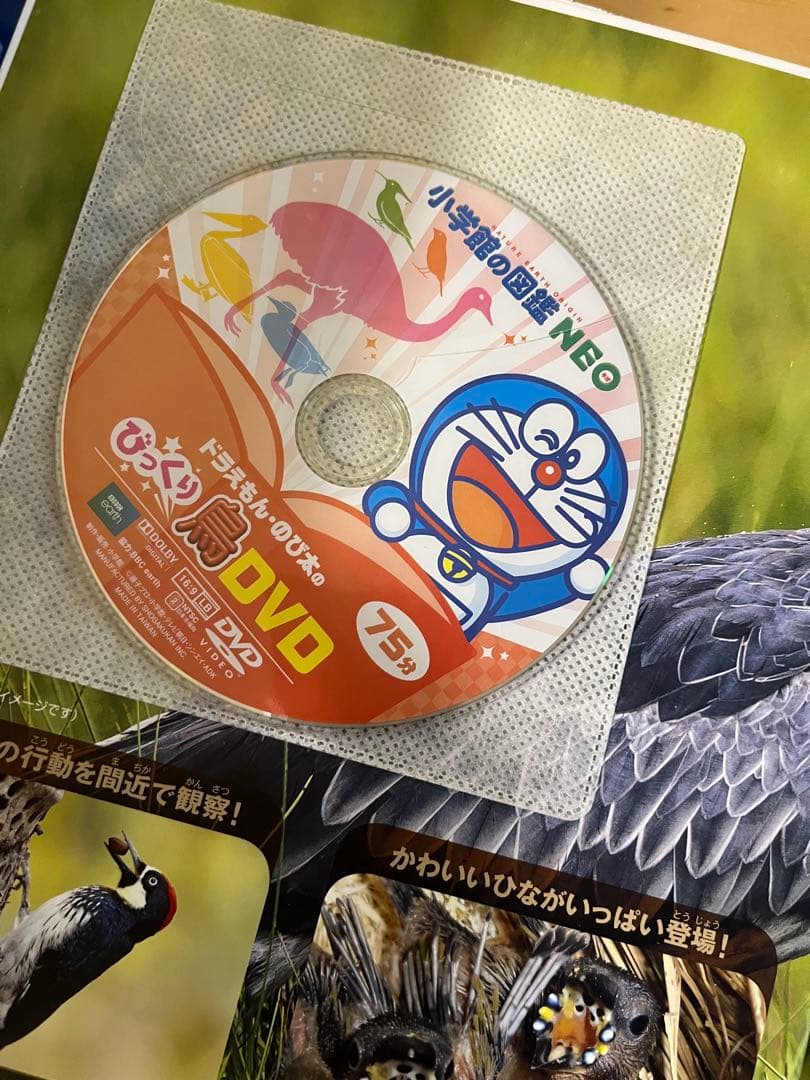小学館の図鑑NEO　DVD付　くらべる図鑑　ふしぎの図鑑　9冊セット