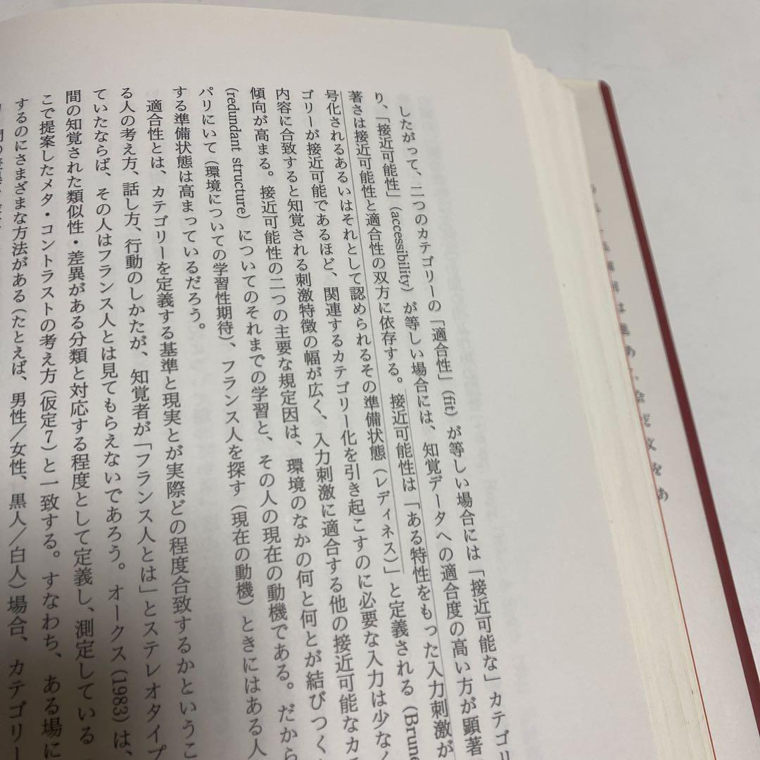 社会集団の再発見 自己カテゴリー化理論