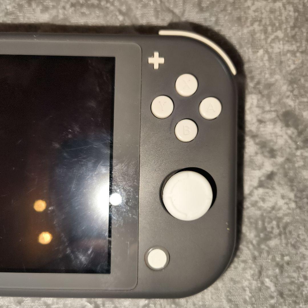 p*e様 【ジャンク品】Nintendo Switch Lite グレー　本体