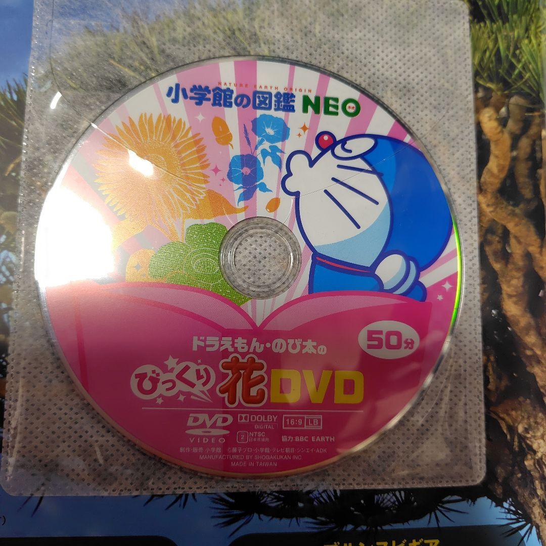 小学館の図鑑NEO 全10巻 3枚DVD付き