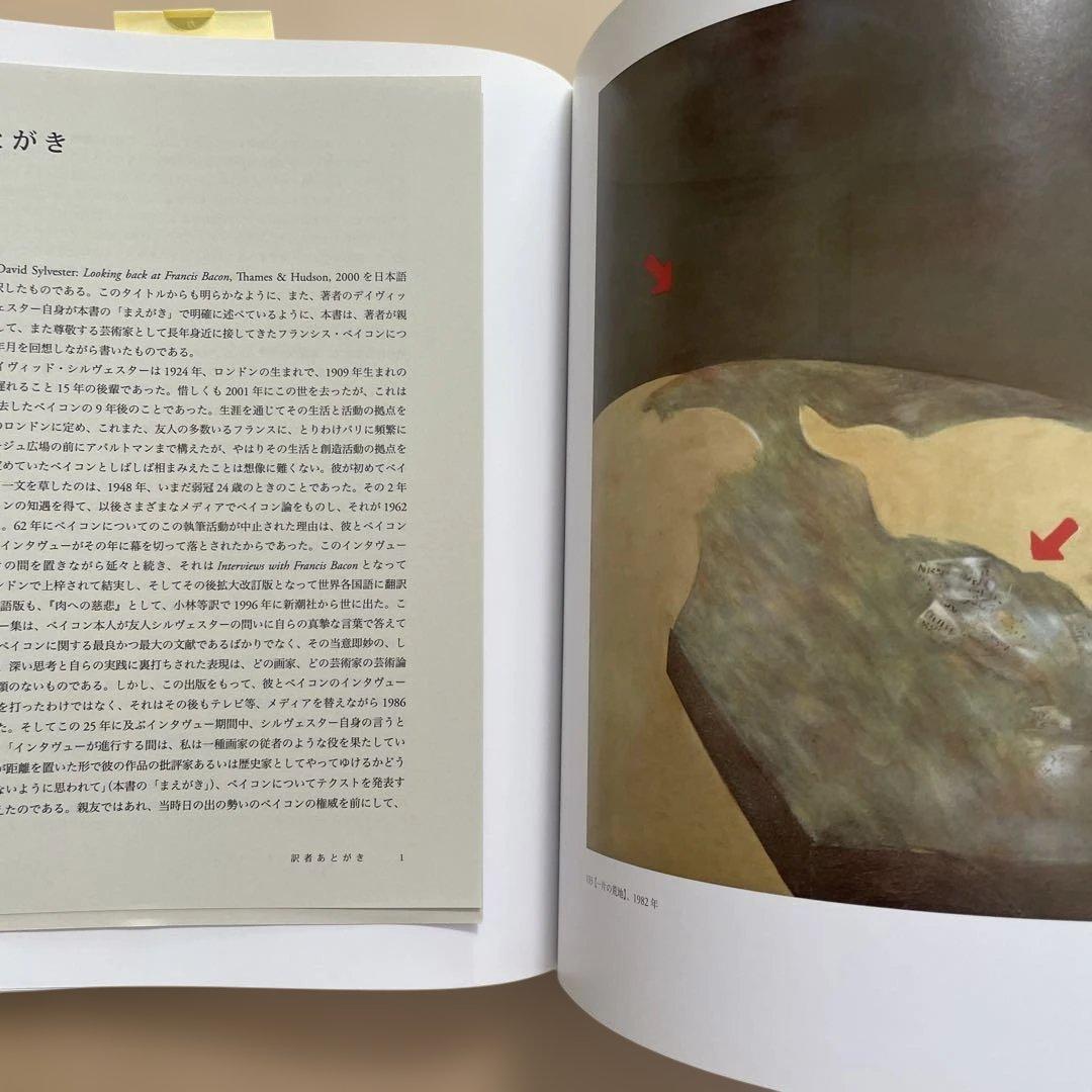 回想フランシス・ベイコン 大型書籍