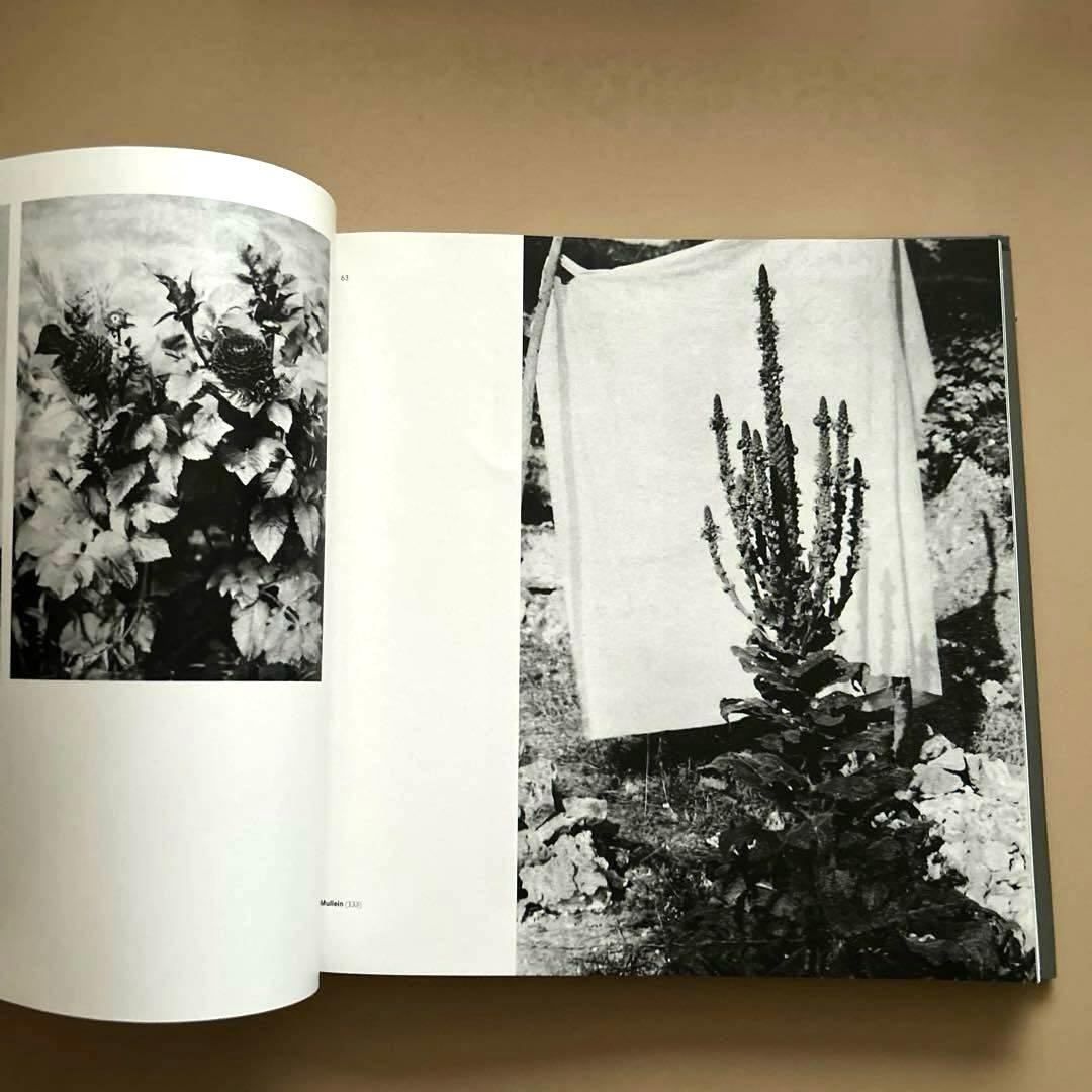 Atget : Paris in Detail ハードカバー