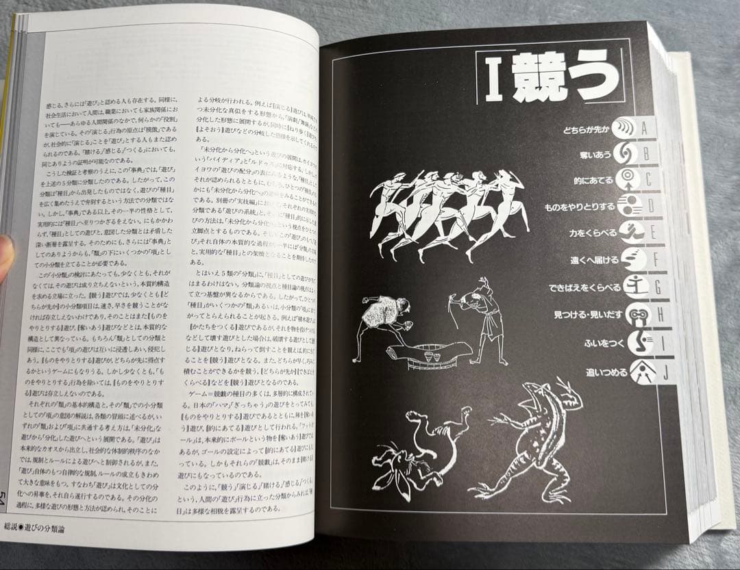 【2冊セット】遊びの大事典 実技編付き