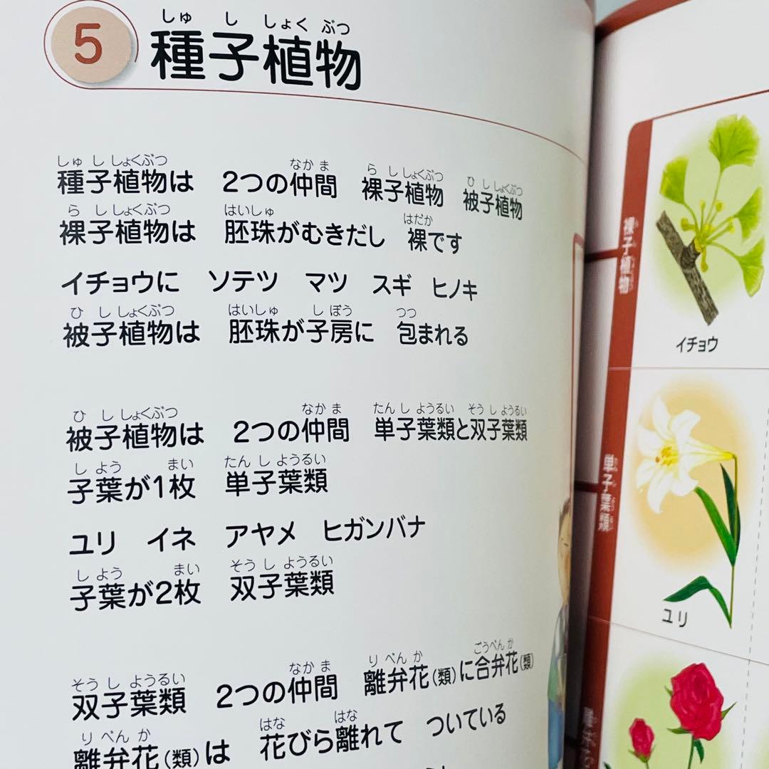 【3冊セット】しちだ教育研究所 うたって覚えよう 理科ソング・社会科ソング