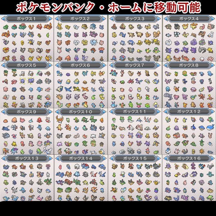 ポケットモンスター　ウルトラムーン　【ウルトラサンムーン】ポケモン　3DS　08