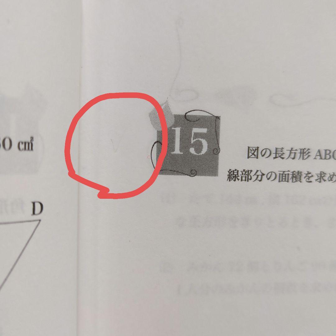 2024年度版★小5 算数 最高レベル特訓問題集★浜学園