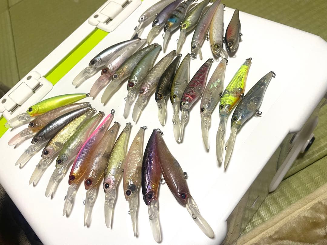シャッド　ハイカット セット