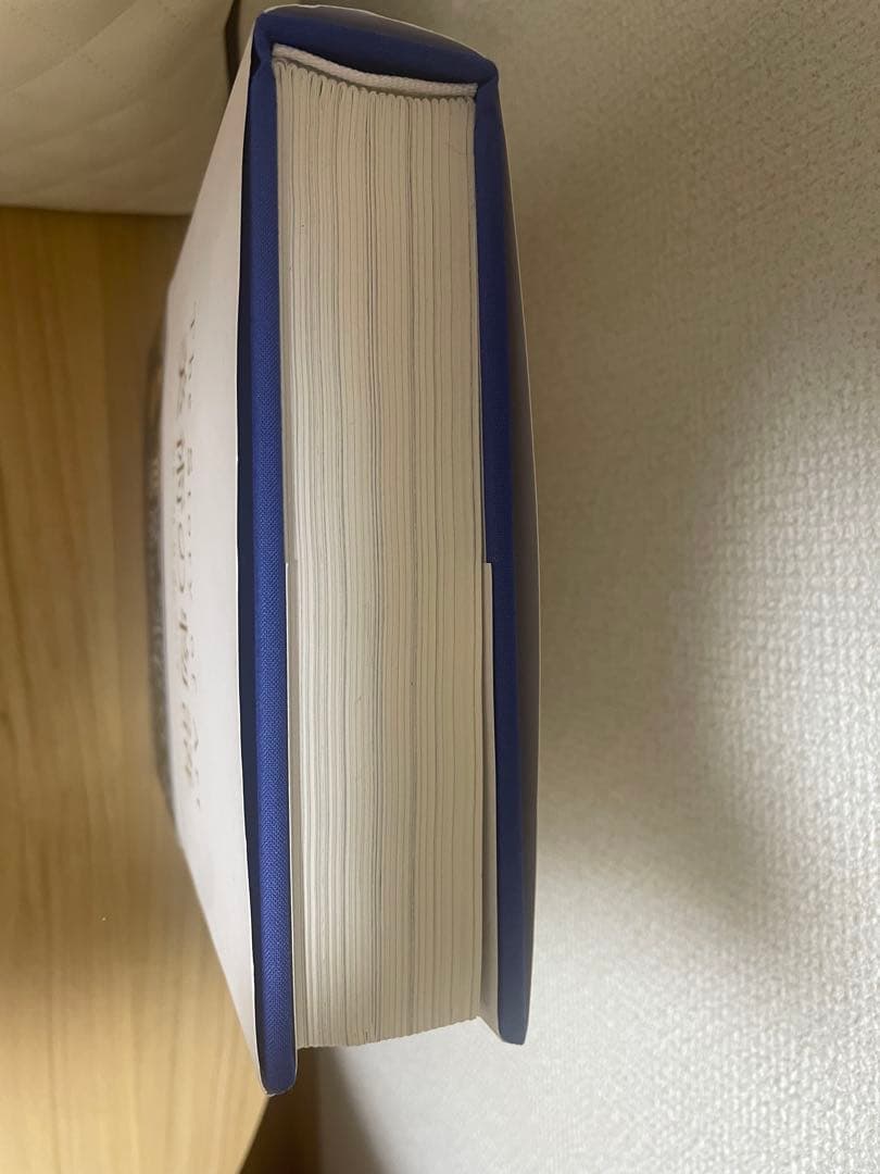美術の物語　エルンスト・H・ゴンブリッチ