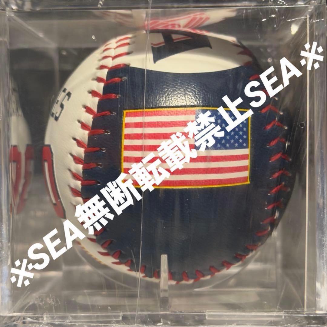 超激レア　WBC アメリカ代表 カルローリー　記念ボール　（即完売）