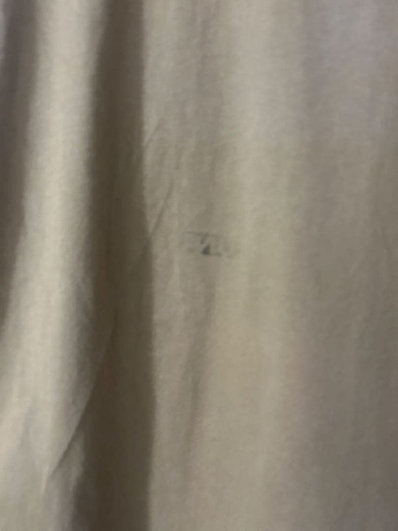 BLUNT 90s USA製 ガンギマリ グラフィックTシャツ XL シングル