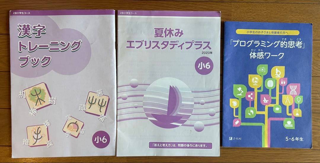 Z会 小6 エブリスタディ　1年分