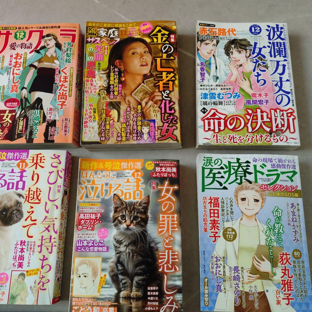 レディースコミック１８冊　　②