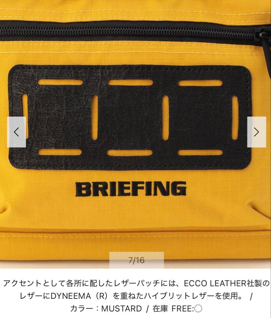 ブリーフィング　ゴルフバック