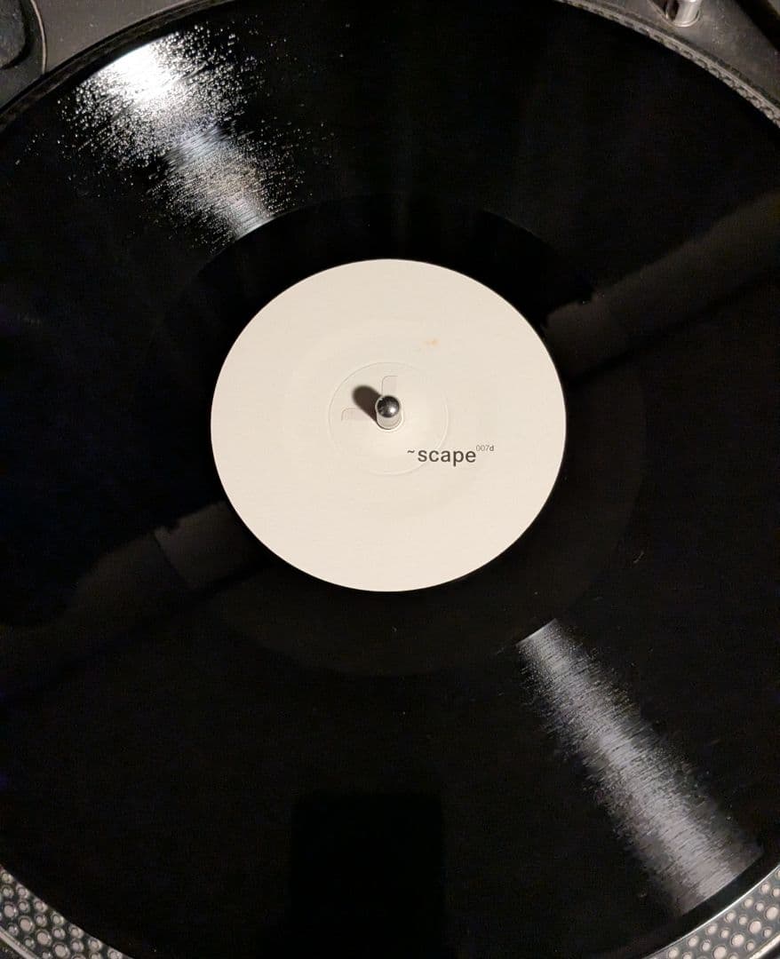 Jan Jelinek - scape レコード