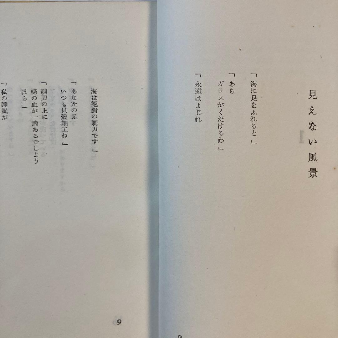 藤富保男詩集「コルクの皿」