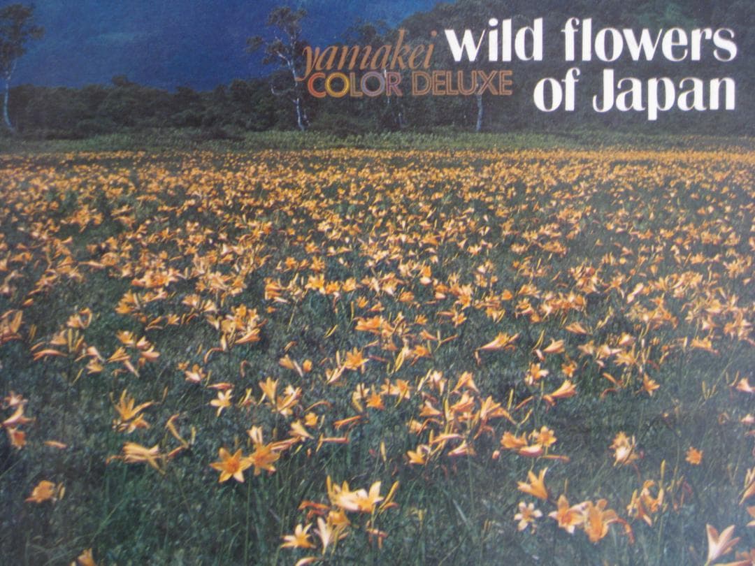 日本の風景写真「山渓カラーデラックス」（大判）全６冊フルセット（山と渓谷社）