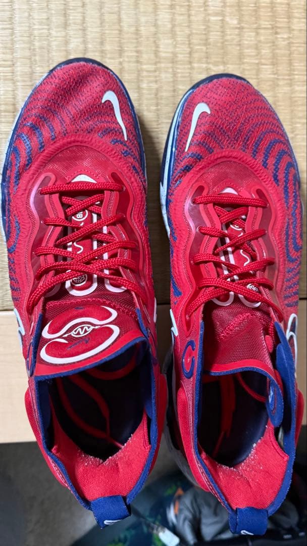 Nike Air Zoom GT Run USAカラー 28.5cm
