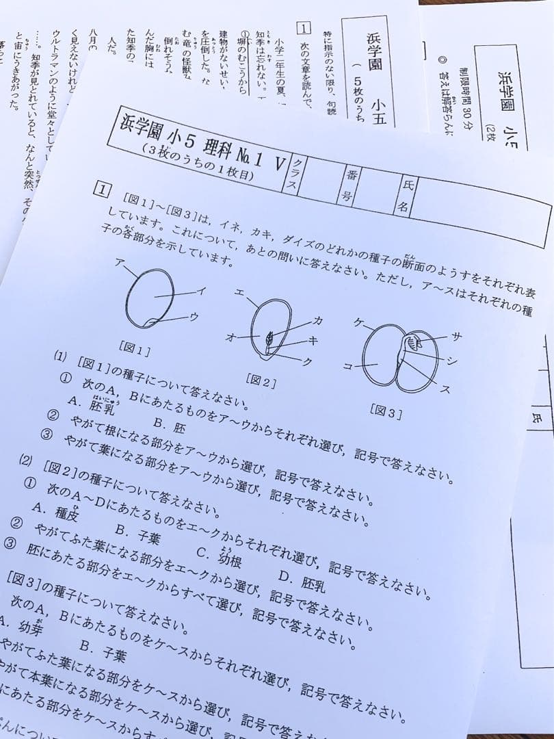 浜学園　小5 2023年度　3科目　解答用紙付き　Vクラス　復習テスト 国算理