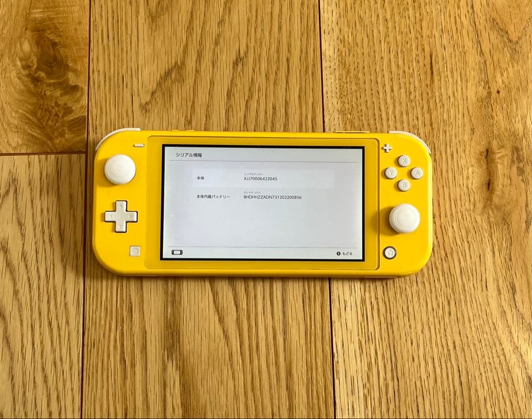 Nintendo Switch Lite ニンテンドースイッチライト 訳あり
