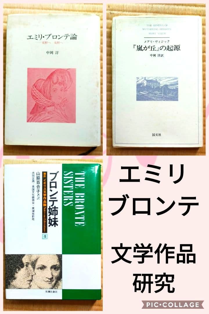★　希少価値・絶版本　文学的観点から読み解くエミリ・ブロンテと嵐が丘
