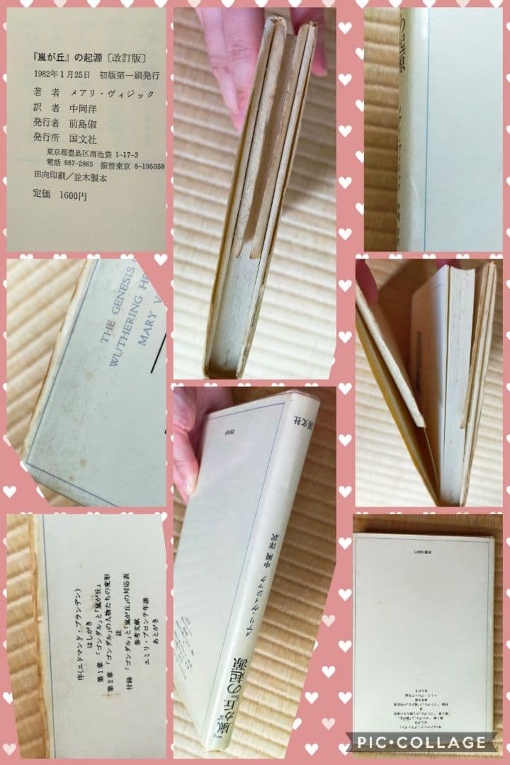 ★　希少価値・絶版本　文学的観点から読み解くエミリ・ブロンテと嵐が丘