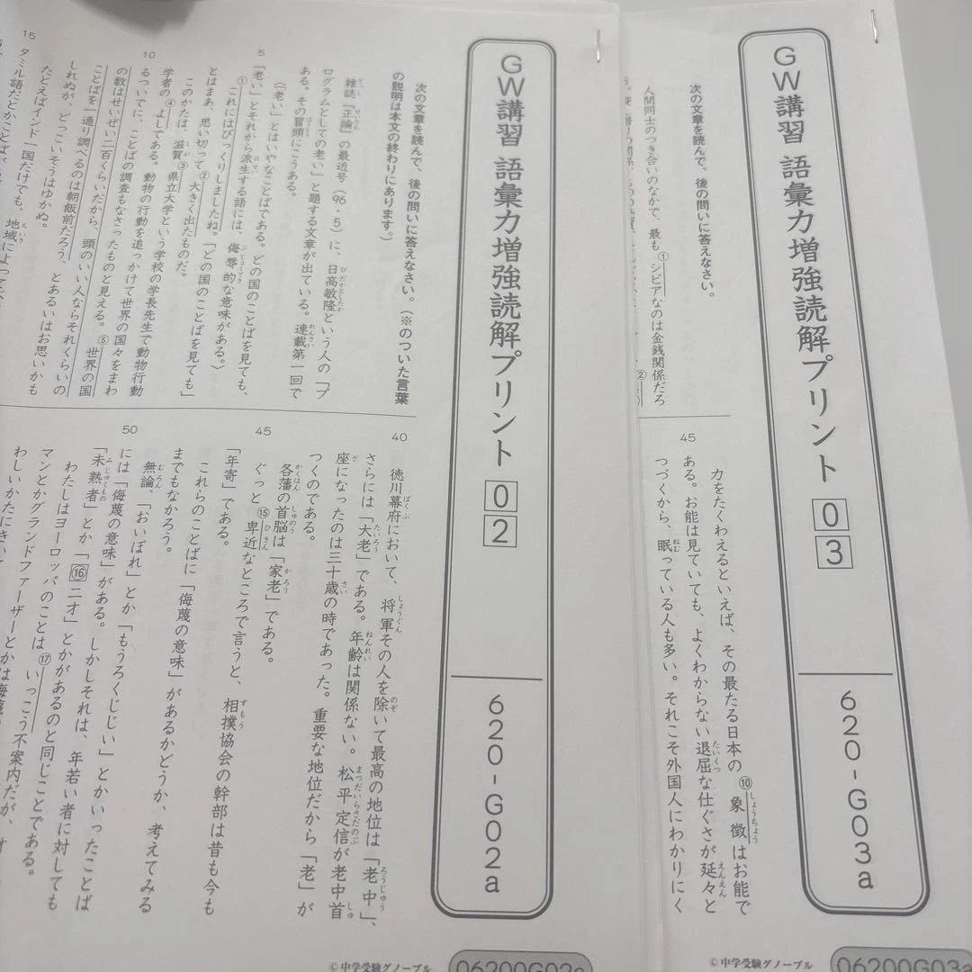 グノーブル　小6語彙力増強読解プリントGW全3回、秋以降全12回分　解説解答付き