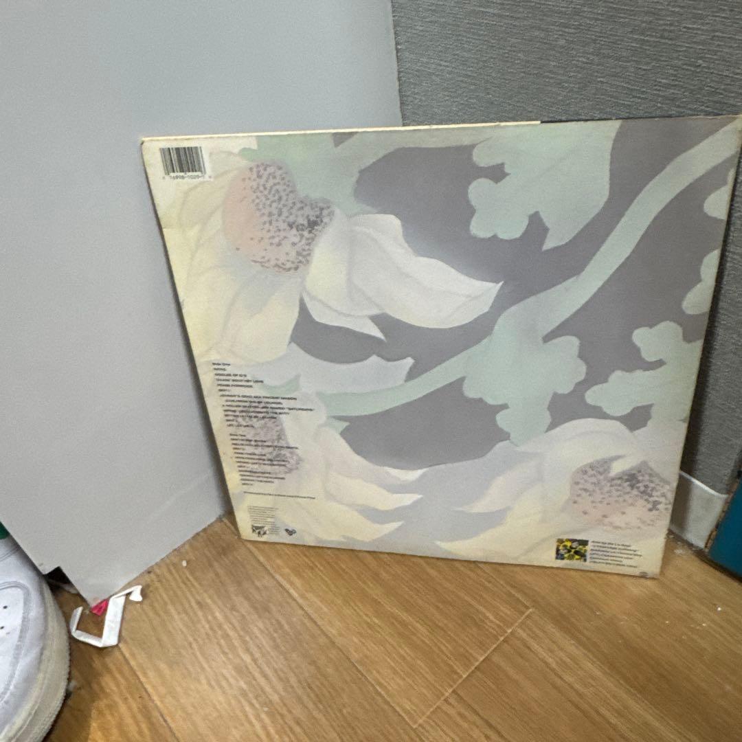 DE LASOULのis deadです