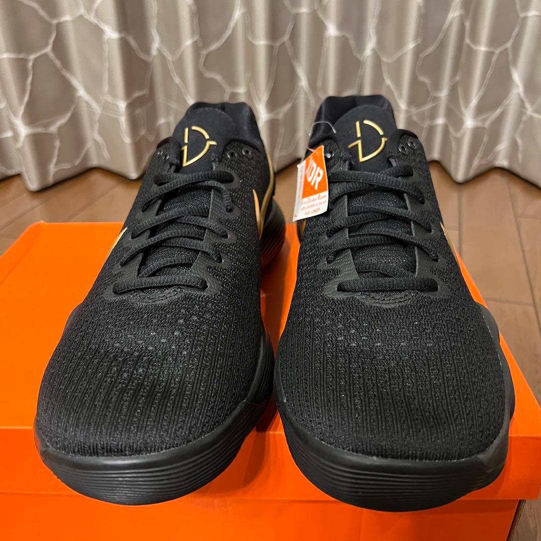シューズ(男性用) NIKE HYPERDUNK 2017 LOW EP BLACK GOLD