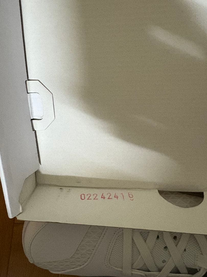 テイタム2 Jordan バッシュ 30cm ナイキ ジョーダン nike
