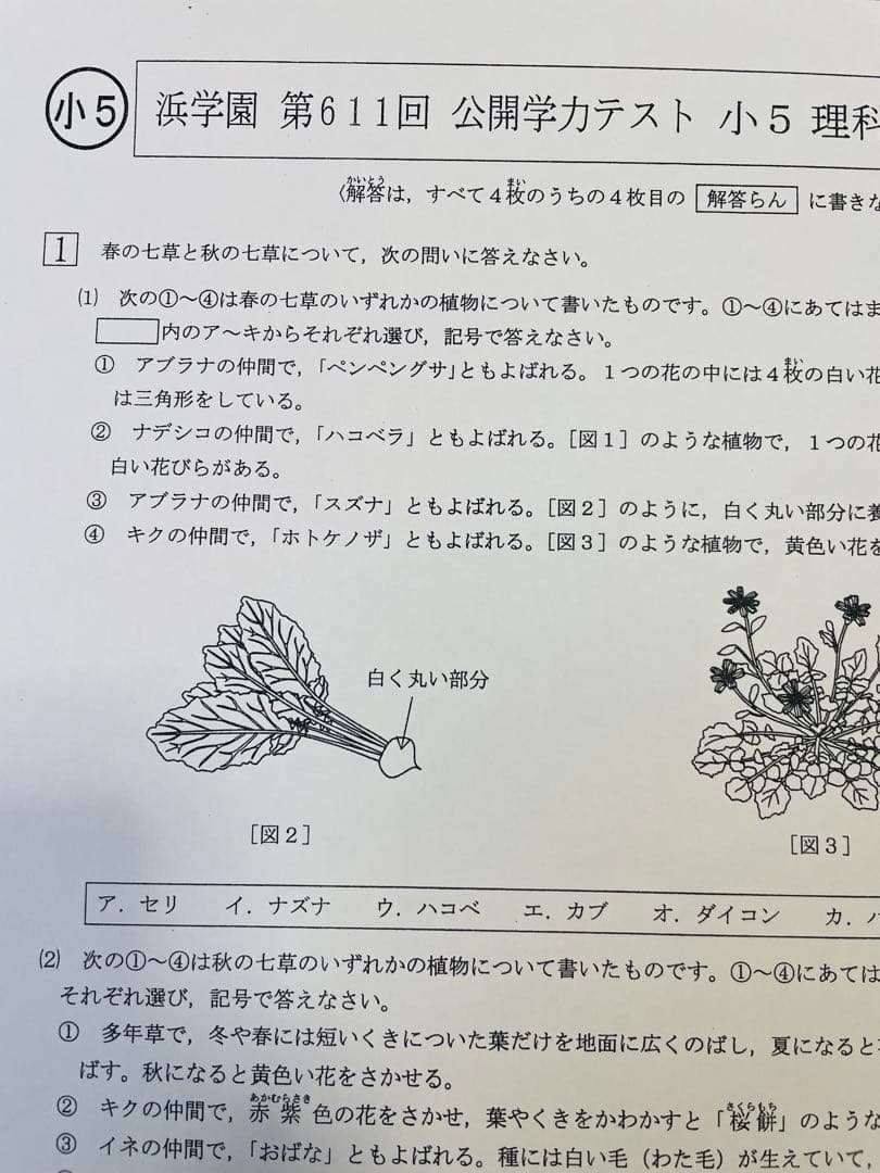 浜学園 小5 2023年、2024年度 2年分 4科目 公開学力テスト