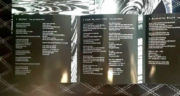 ONE OK ROCK会場限定available during 2009CD2枚