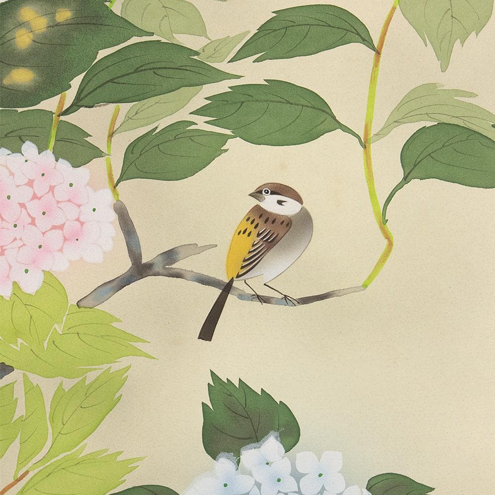掛軸 日本画 山本錦緑「紫陽花」共箱