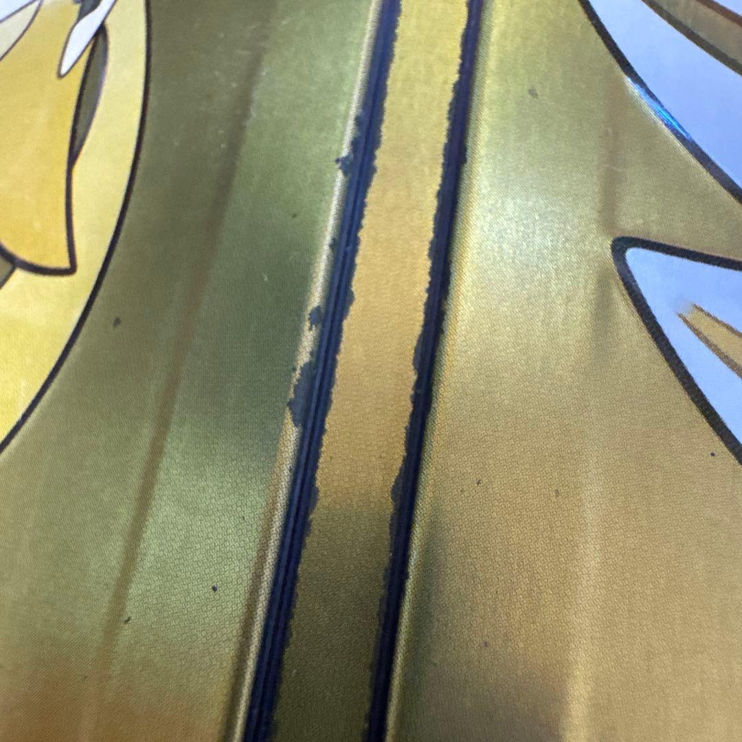 ポケモン　ひみつクラブ　スチールブック　ソード　シールド
