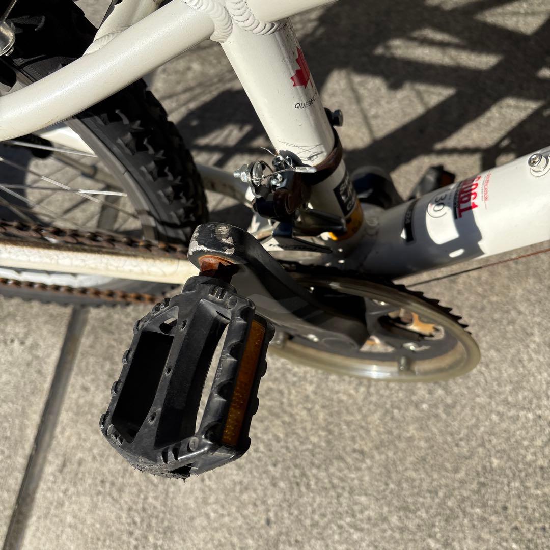 引取限定　LOUIS GARNEAU ルイガノ J24 24インチ