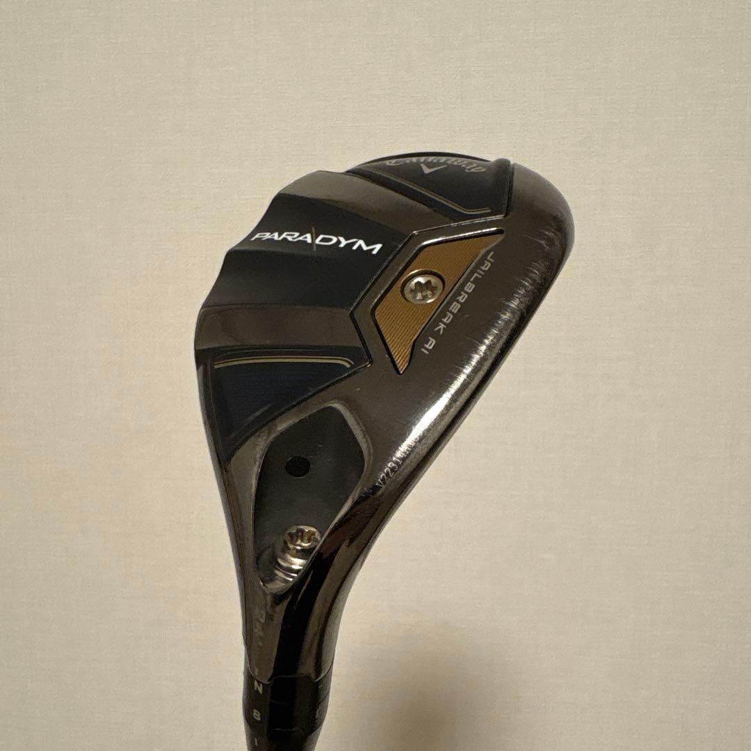 パラダイム ユーティリティ 4U 5U TENSEI Pro 1k Hybrid