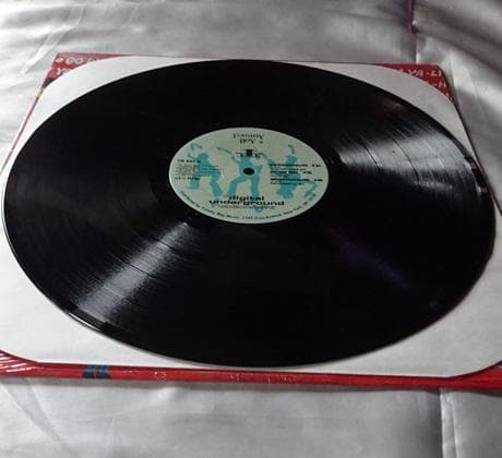 洋楽 DIGITAL UNDERGROUND/DOOWUTCHYALIKE US 12