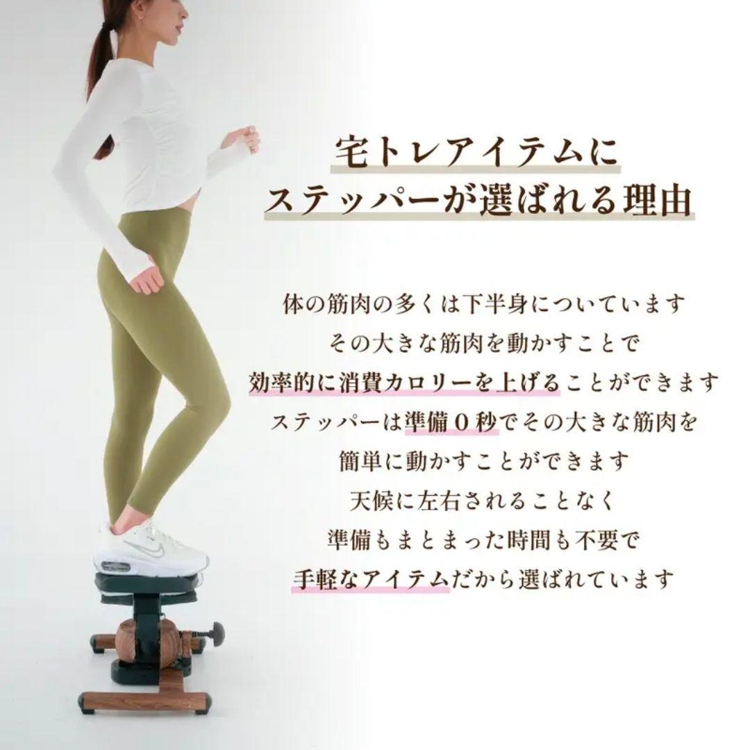 【ほぼ未使用】Re ツイストエアロステッパー Premium