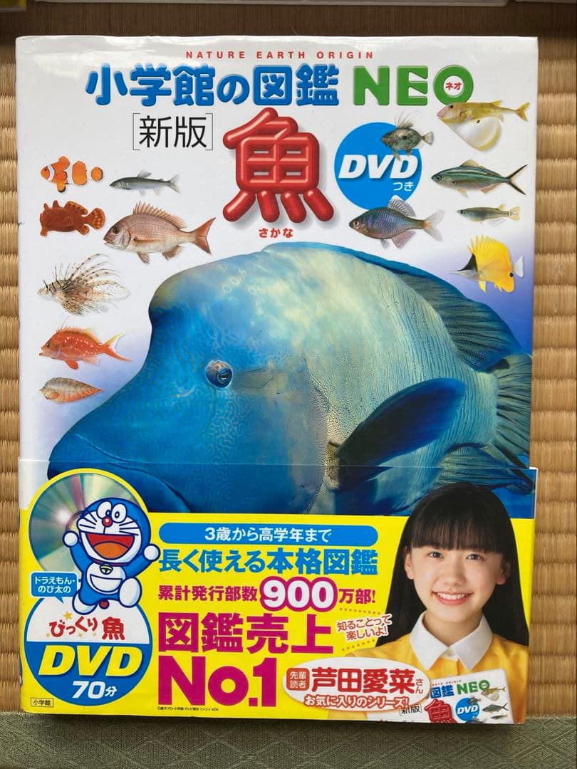 小学館の図鑑NEO 全9冊 DVD付き