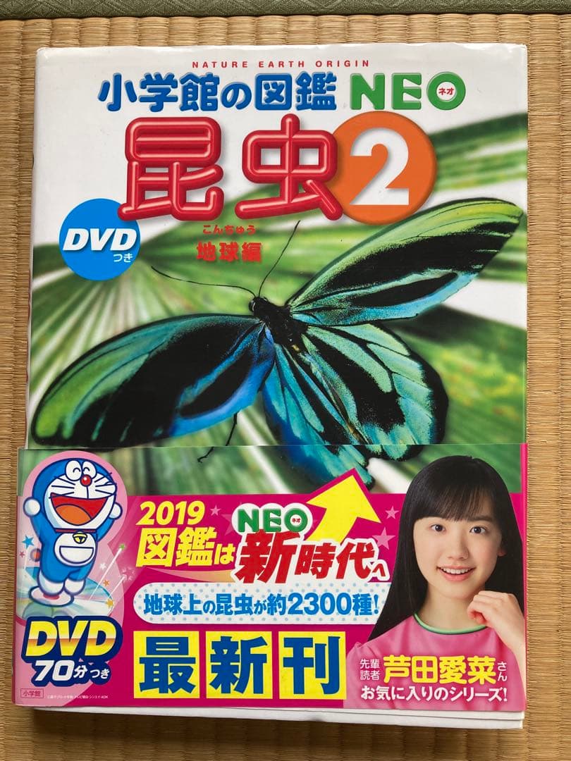 小学館の図鑑NEO 全9冊 DVD付き